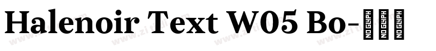 Halenoir Text W05 Bo字体转换